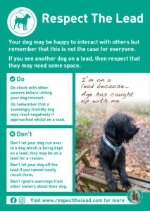 Respect the lead poster 2025 update age