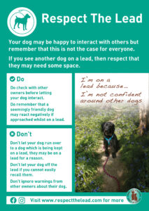 I’m on a lead because... I’m not confident around other dogs