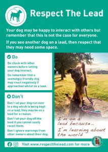 Respect the lead poster 2025 update learning