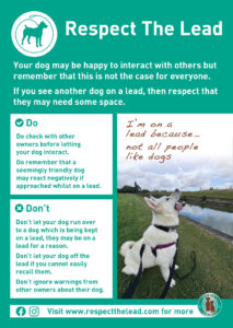 Respect the lead poster 2025 update people