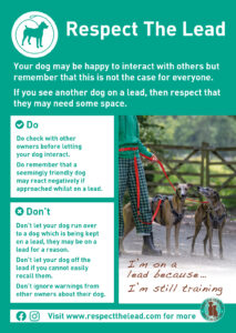 Respect the lead poster 2025 update training