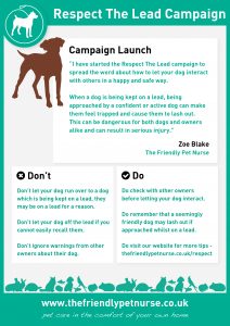 Respect The Lead Camapign Launch